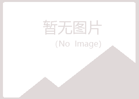 陕西冰夏化学有限公司